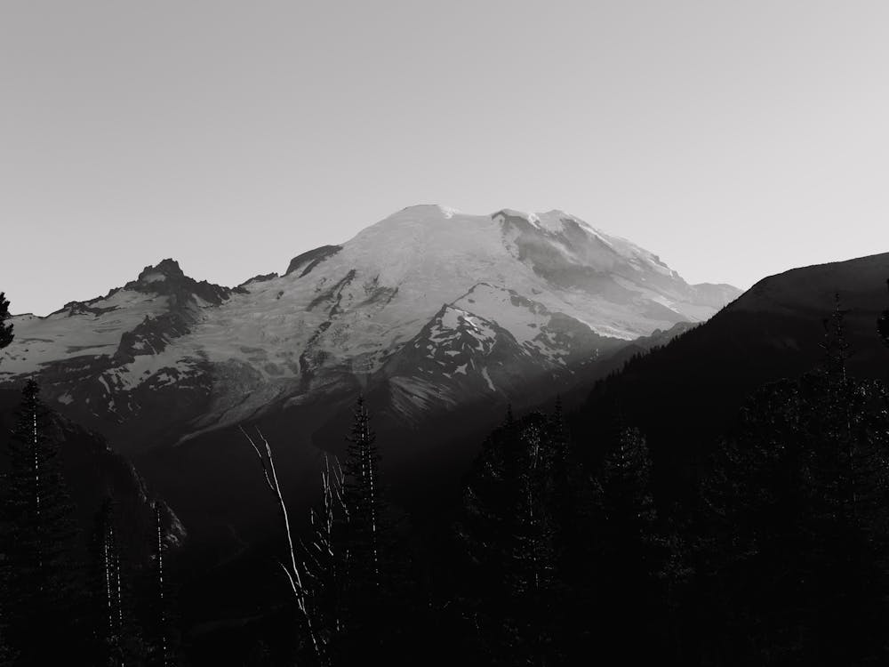 Mount Rainier Black and White