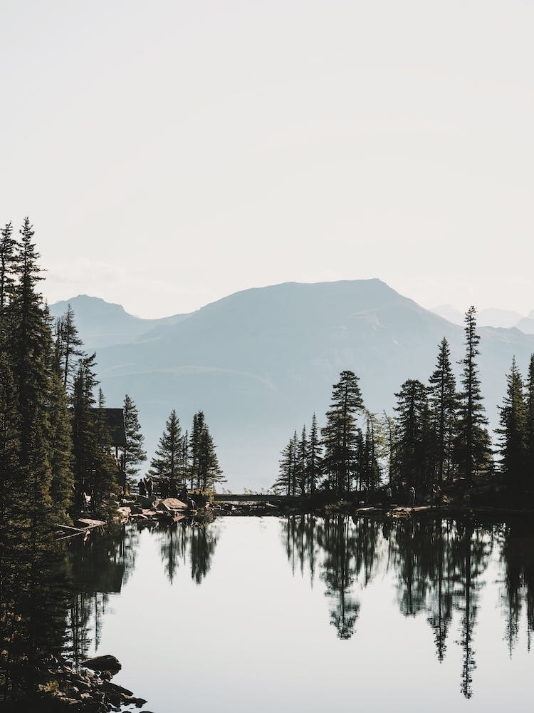 Alpine Lake View