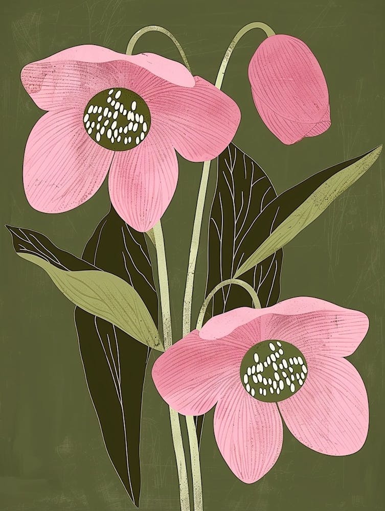 Pink & Green Hellebore 1