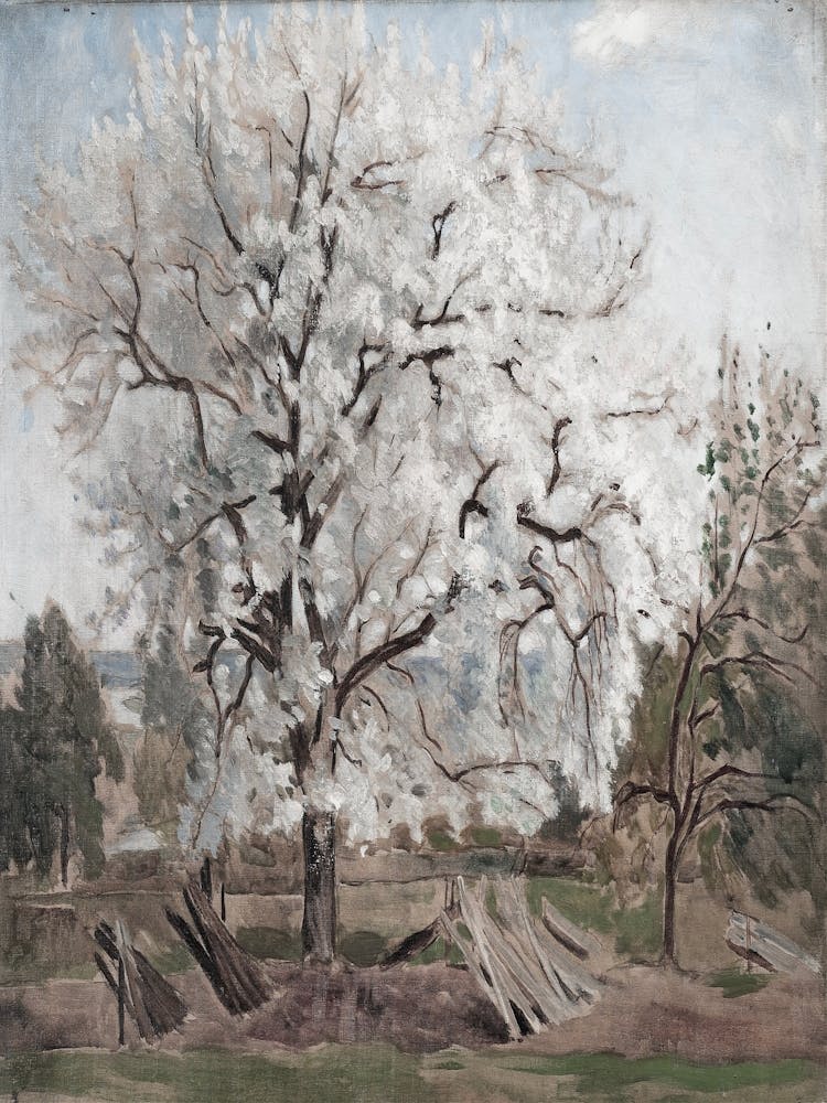 White Blossoming Tree