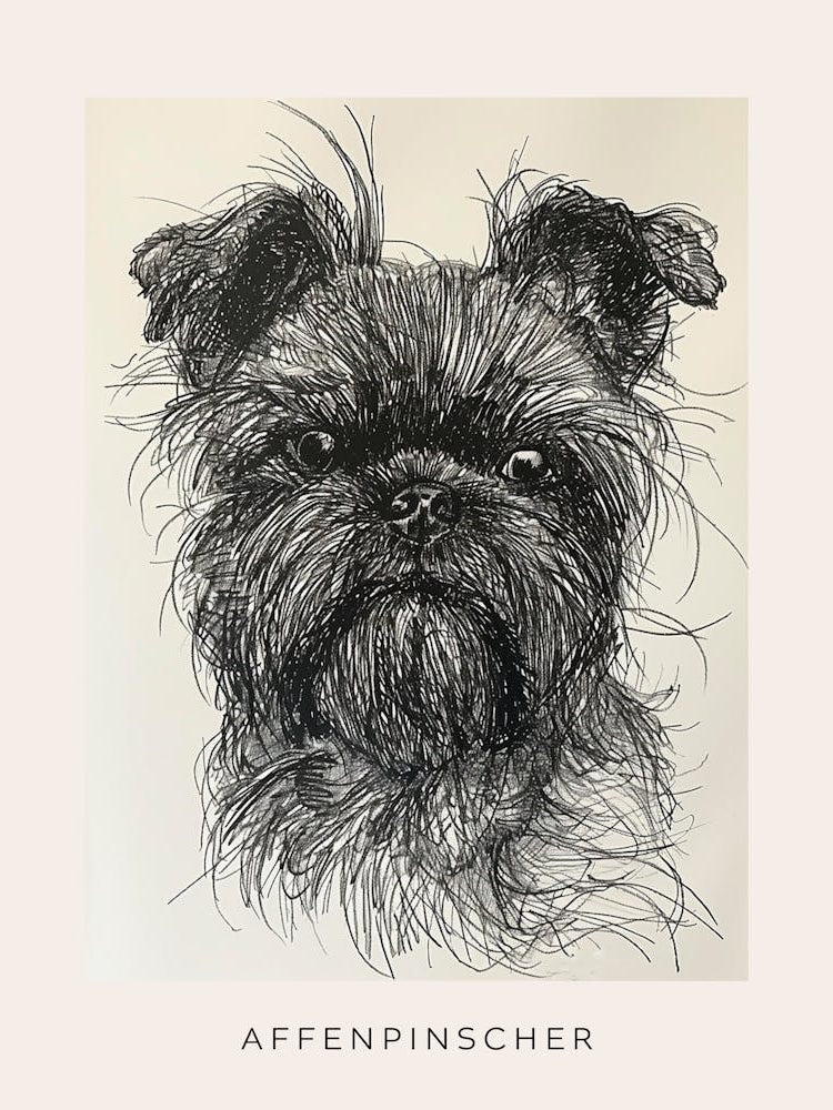 Affenpinscher Dog Line Sketch Poster