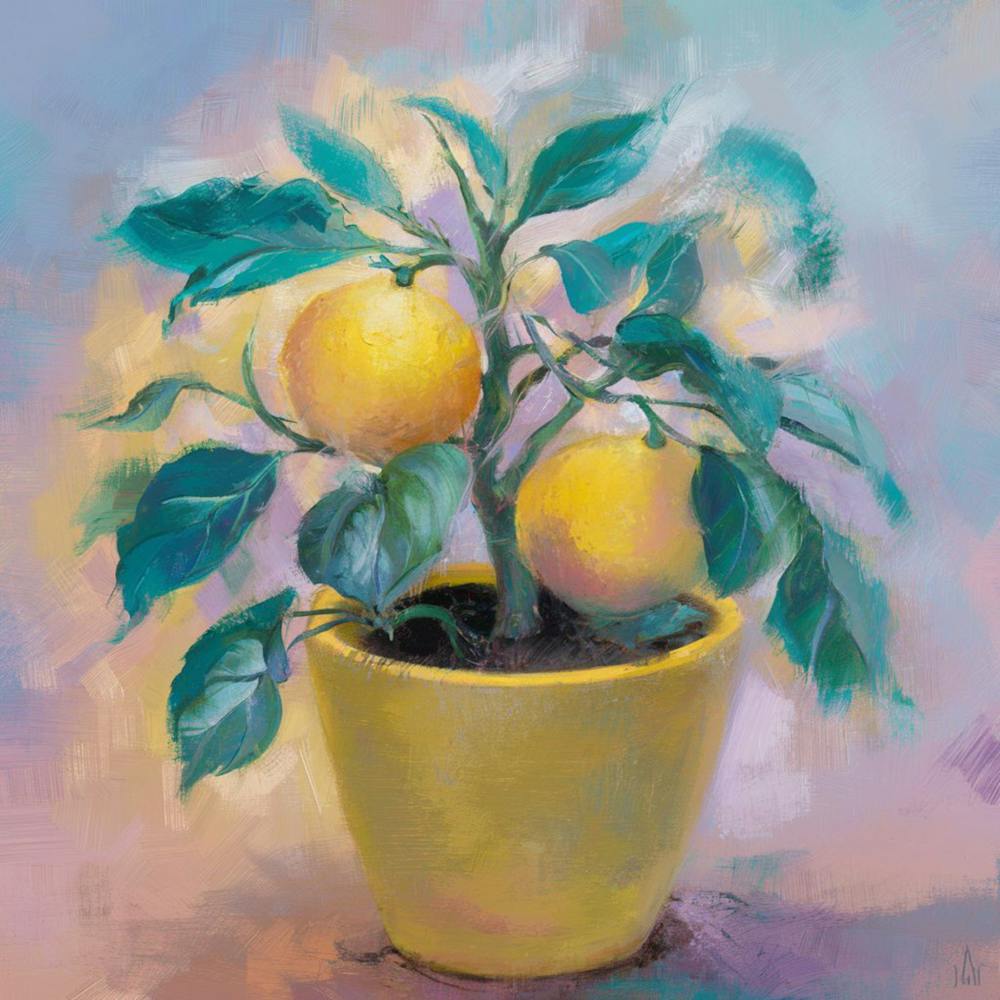 Lemons In A Pot