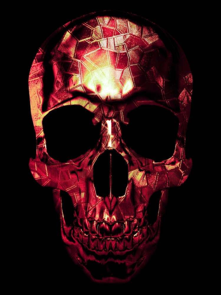 Skull I