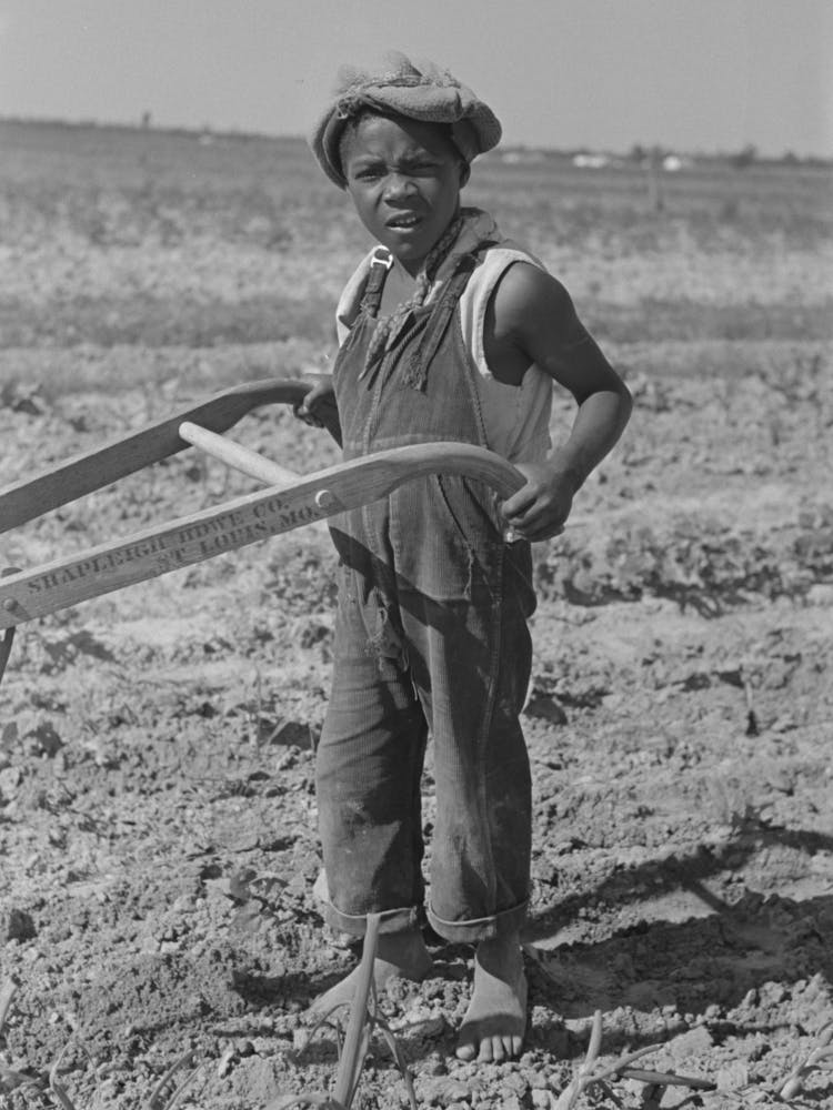 New Madrid County, Missouri,Child Of Sharecropper Cultivating Cotton By Russell Lee