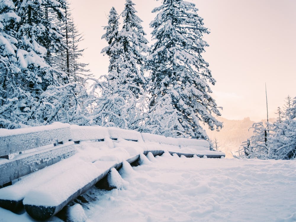 Benches In Snow