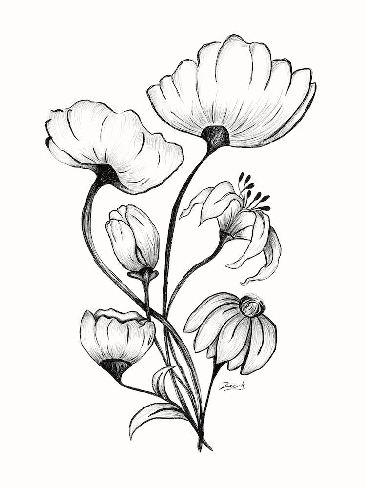 Bouquet Noir et Blanc - Dessin au trait