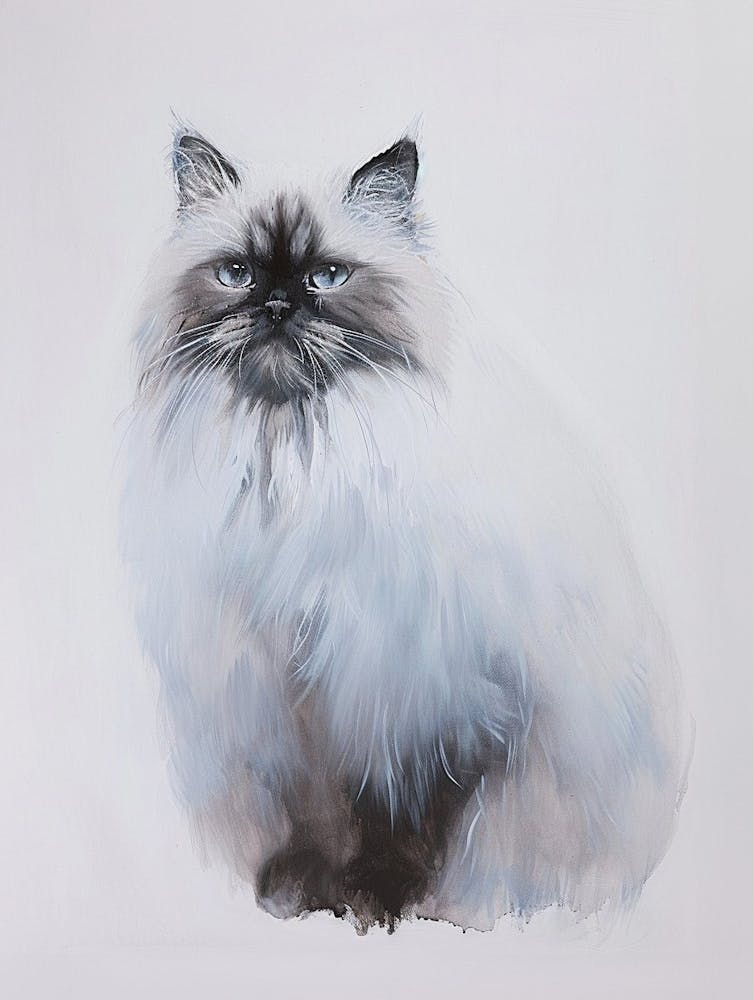 Himalayan Cat Painting 4