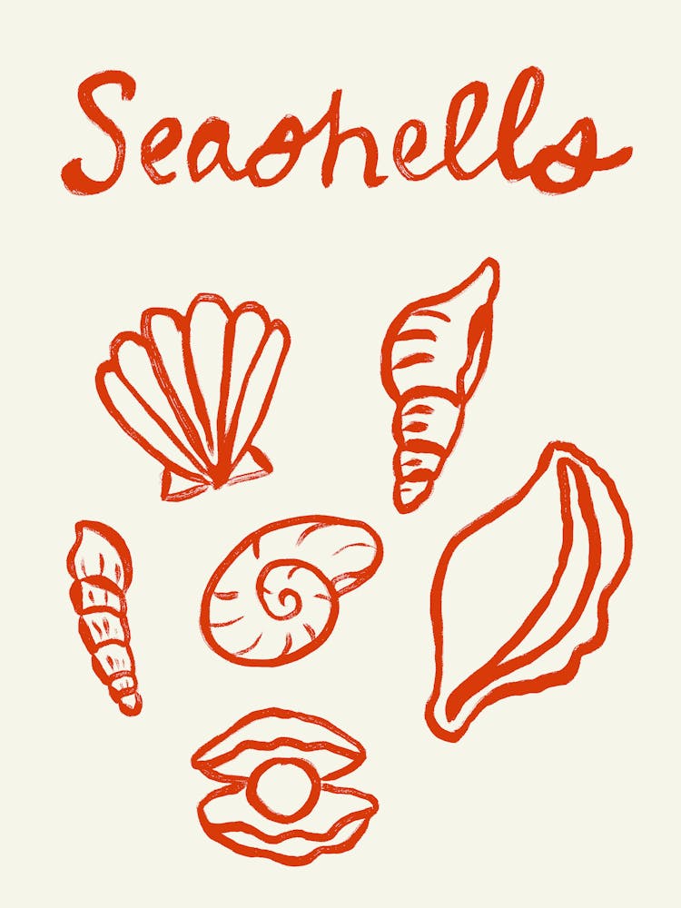 Seashell Doodles, Seashell Line Art, Minimalism Seashell Design