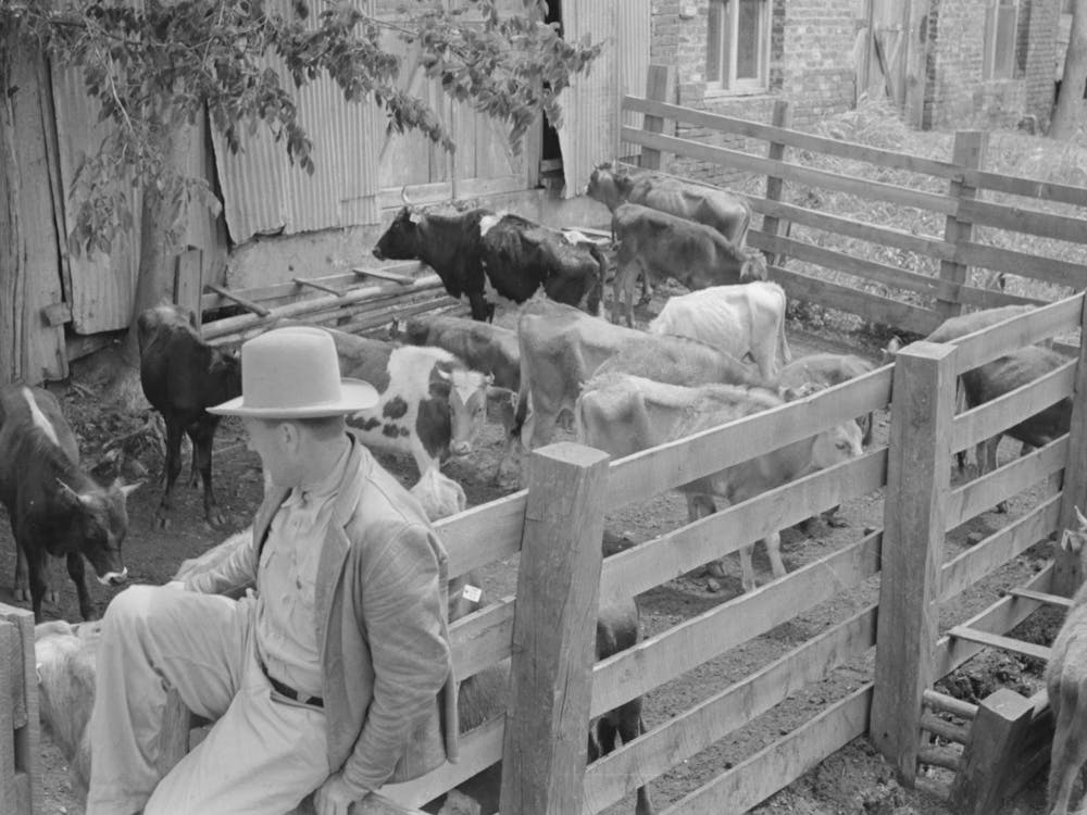 Viehställe und Bauern auf dem Auktionshof, San Augustine, Texas von Russell Lee