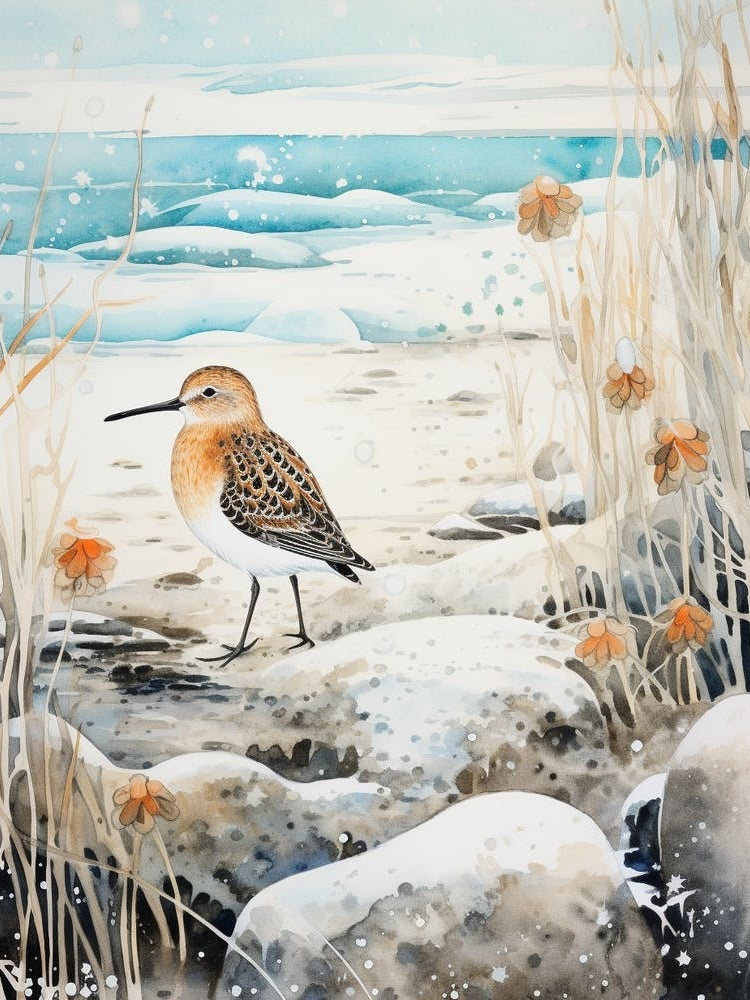 Winter Bird Painting Dunlin 3