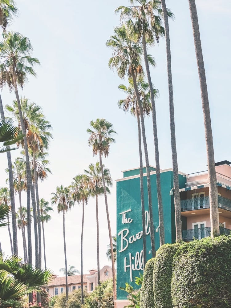 Los Angeles, USA I Green midcentury architecture of Beverly Hills Hotel under LA sun and palm trees with retro vintage summer pastel aesthetic of a film camera photography just like in the 1960s Hollywood movies