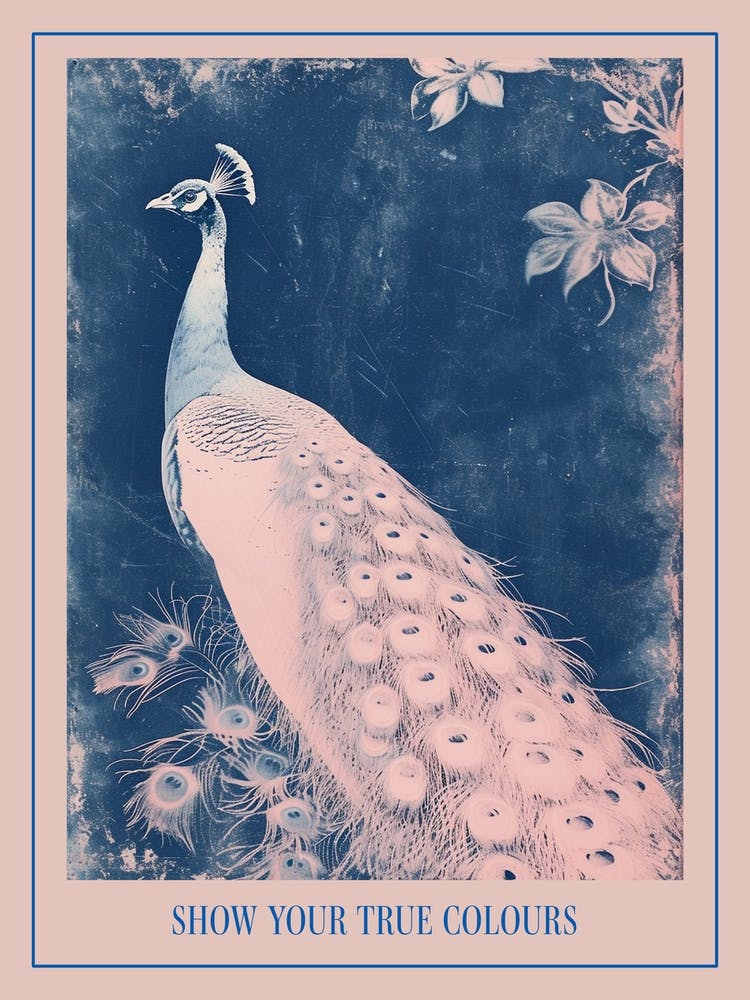 Pink & Blue Peacock Cyanotype Style 2 Poster