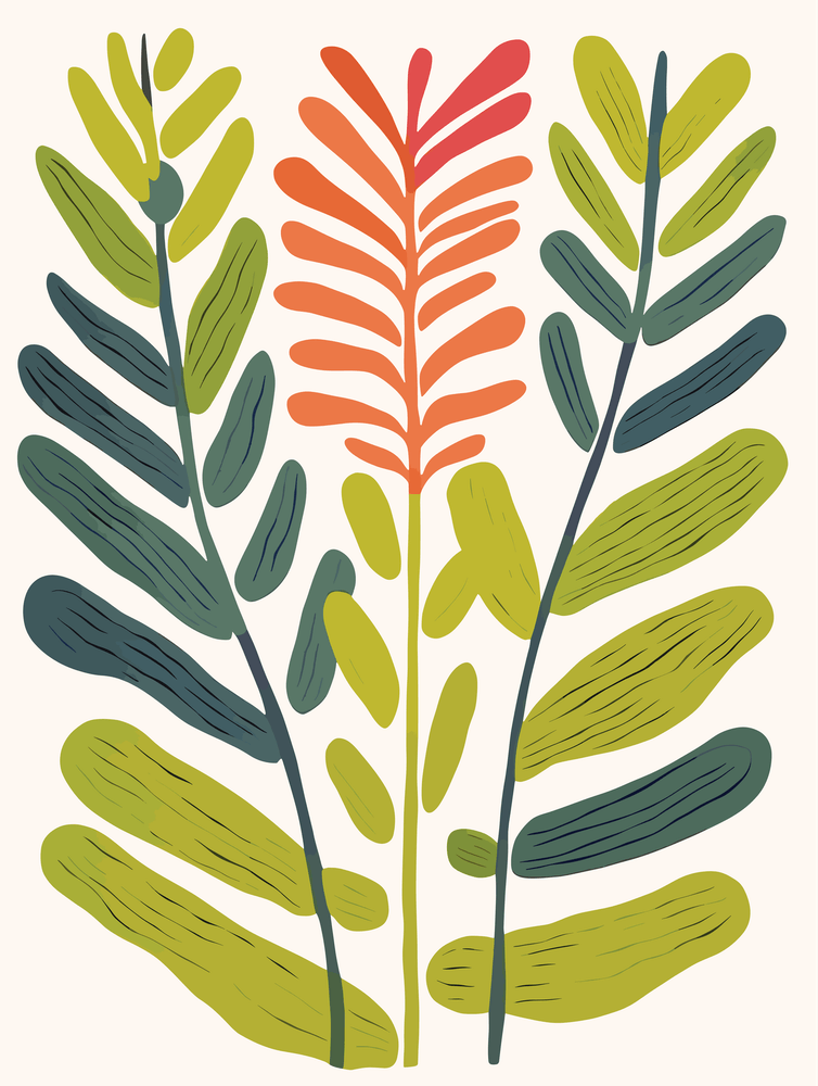 Ferns