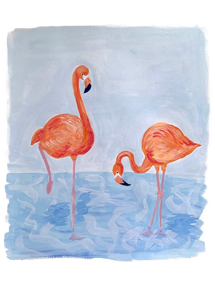 Flamingos