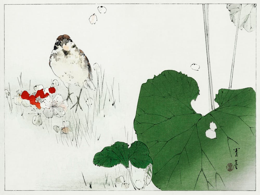 Eurasian Tree Sparrow Illustration From Bijutsu Sekai (1893 1896), Watanabe Seitei