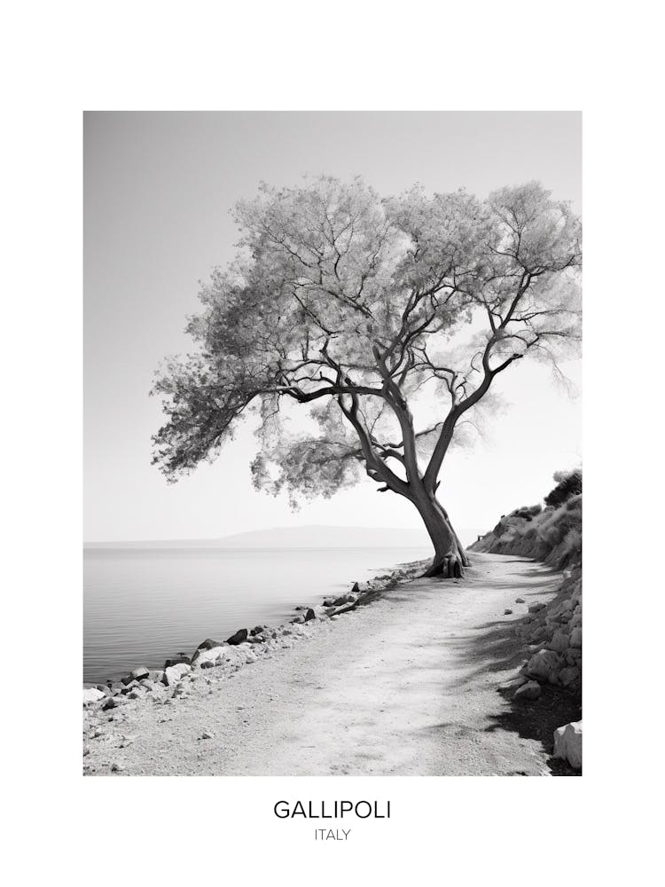 Poster Of Gallipoli, Italy, Black And White Photo 4