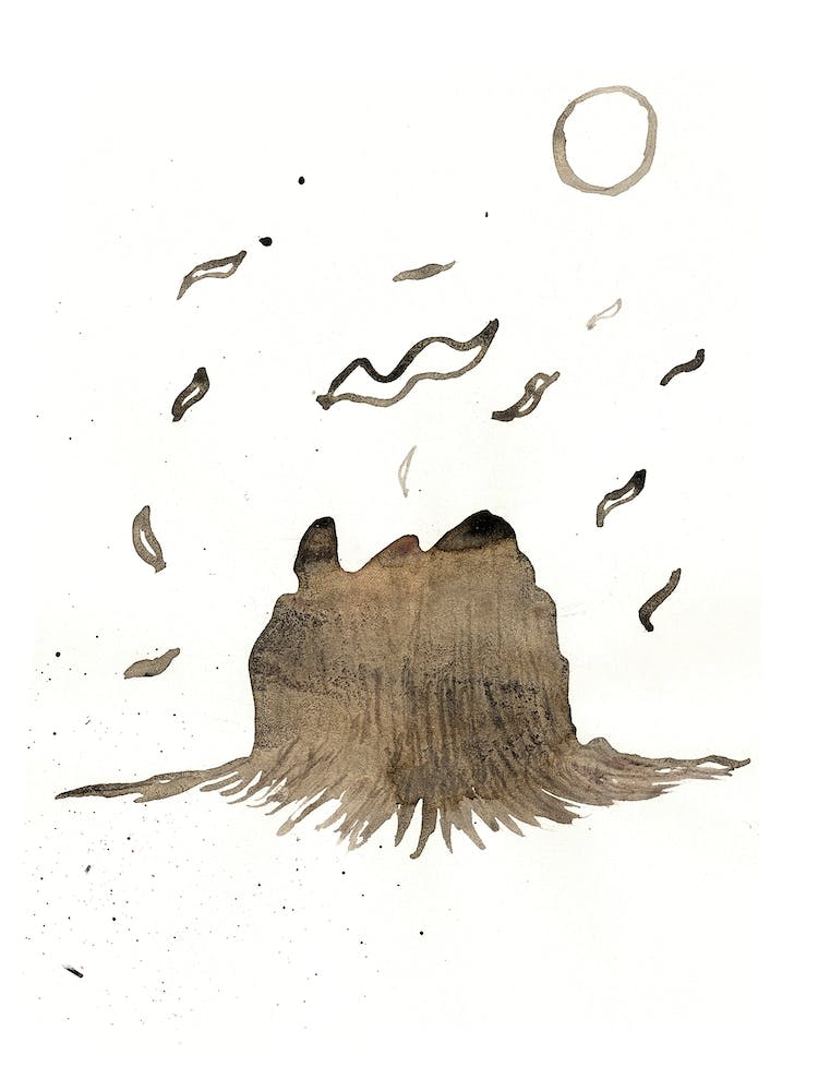 Encounter Of The Third Kind