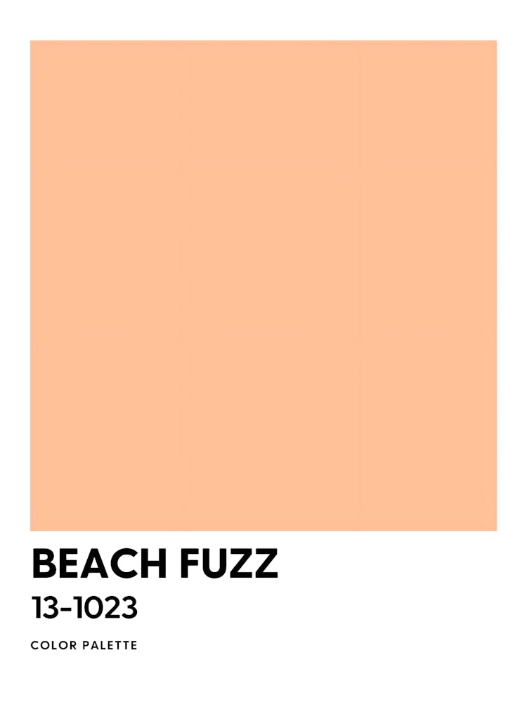 Beach Fuzz