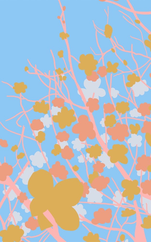 Blossom