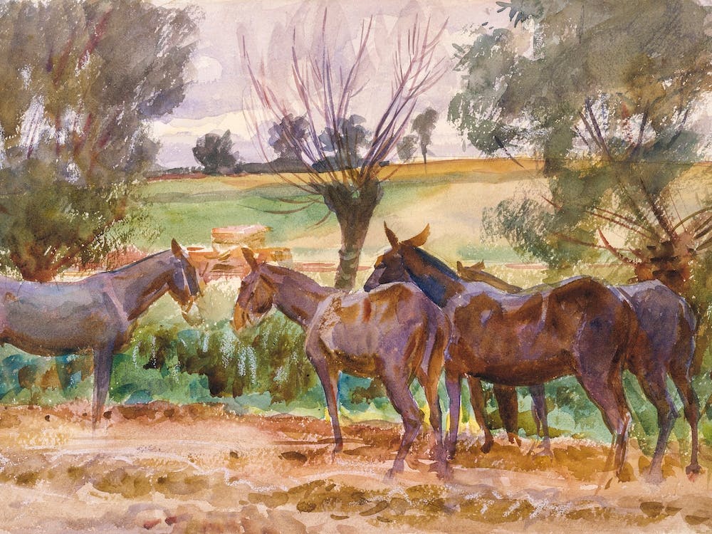 Mule Herd