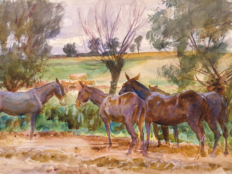Maultierherde