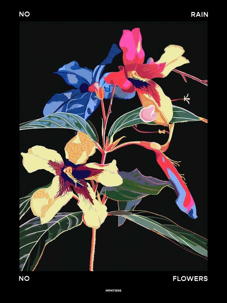 No Rain No Flowers Poster Impatiens 3