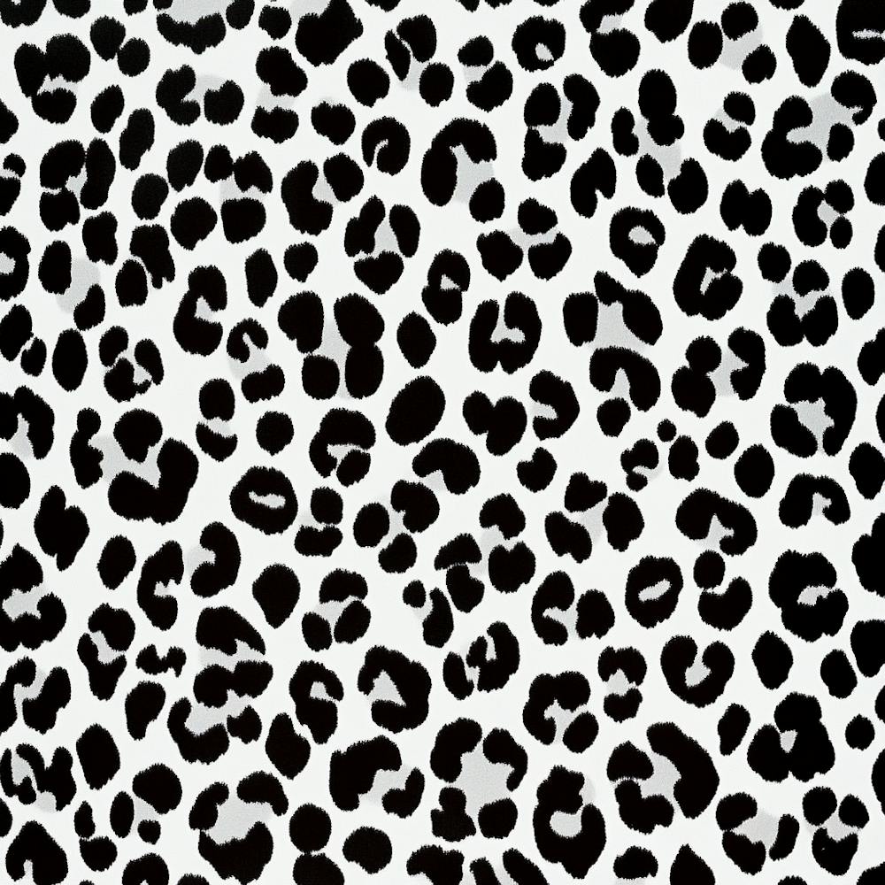 Black And White Leopard Print