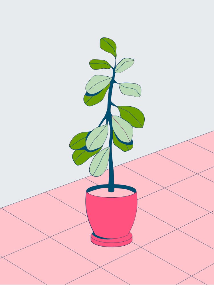 Potted Plant 4