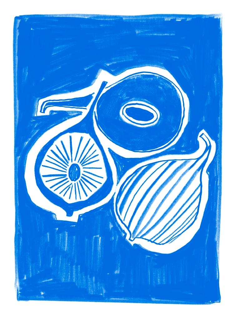 Fig illustration print