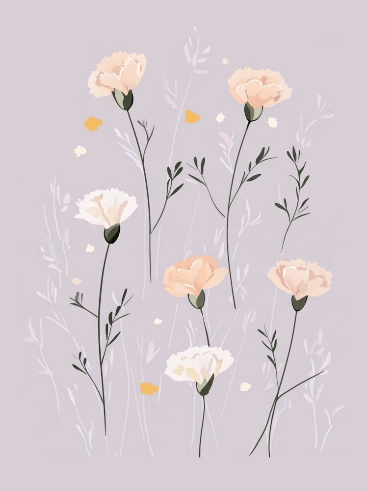 Cute carnations
