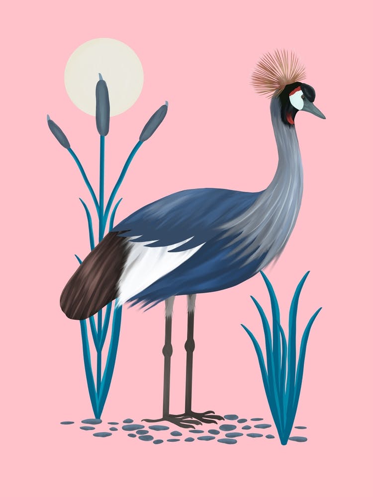 Crowned Crested Crane