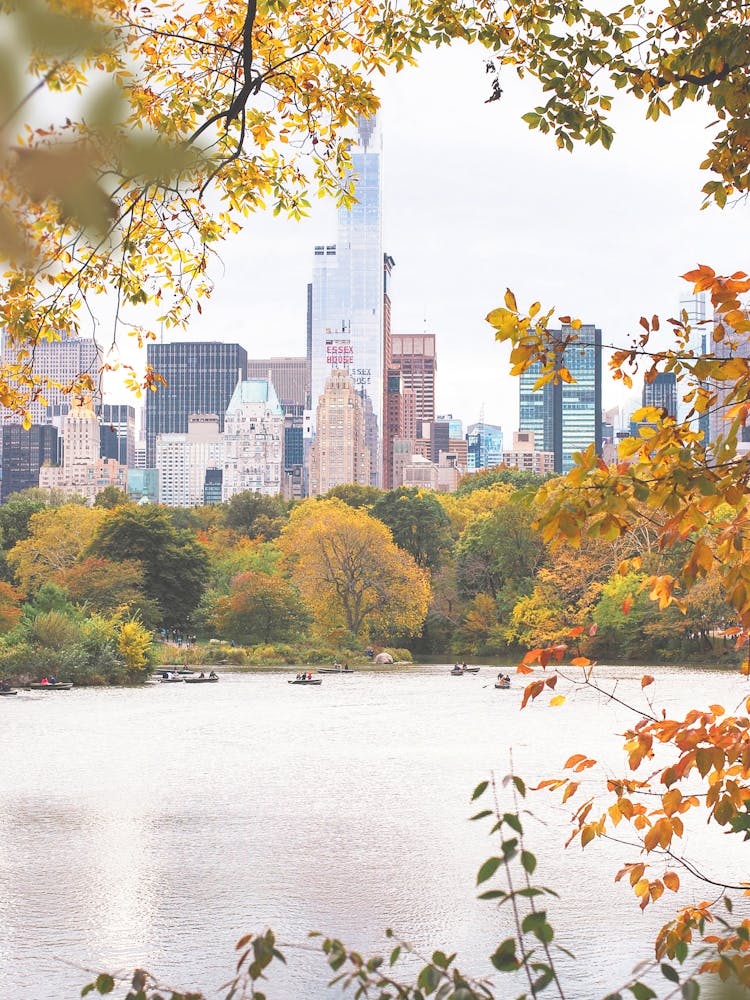 New York, USA I Lac de Central Park dans la nature avec une esthétique automnale et des tons orange pastel dans les feuilles d'arbres sauvages avec la skyline de New York, ses gratte-ciel et la photographie d'architecture grandiose
