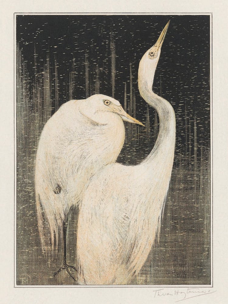 Two Egrets (1878–1905) , Theo Van Hoytema