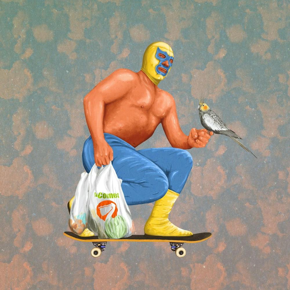 Masked wrestler on skateboard with bird, wall art