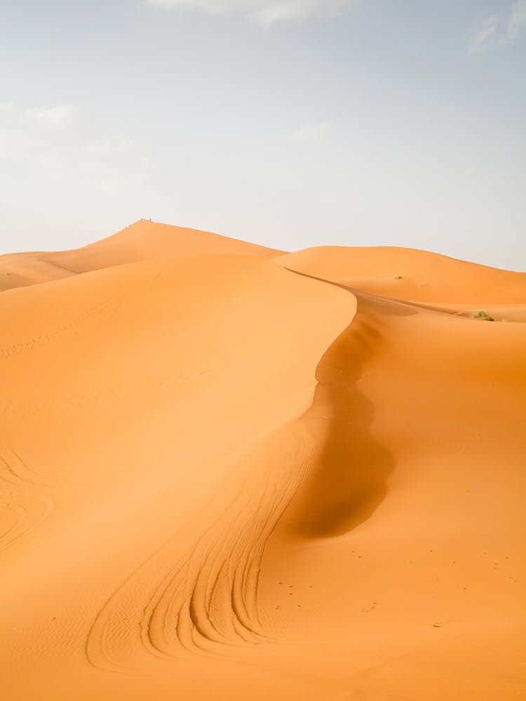 Sahara Desert Sand Dune