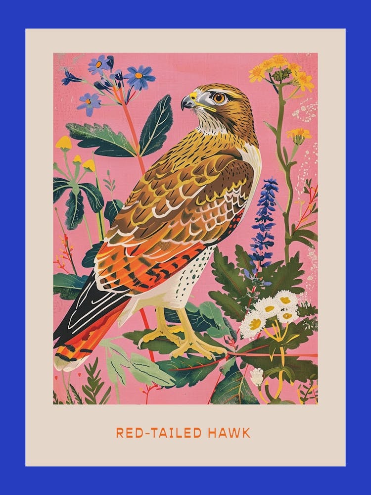 Spring Birds Poster Red Tailed Hawk 5