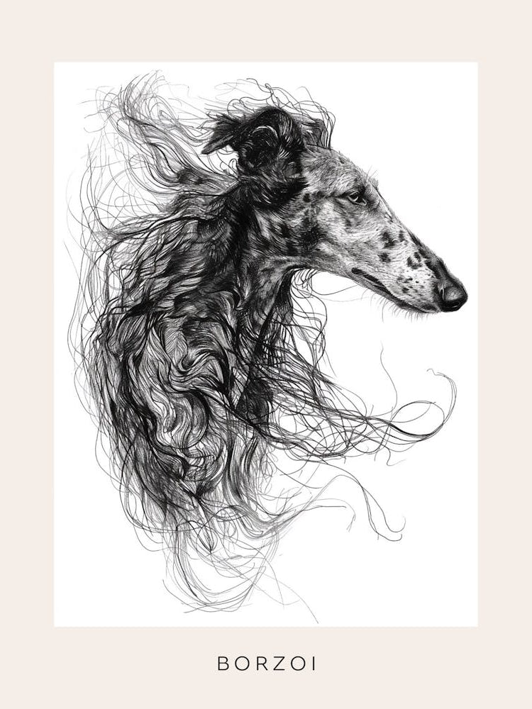 Borzoi Dog Line Sketch 2 Poster