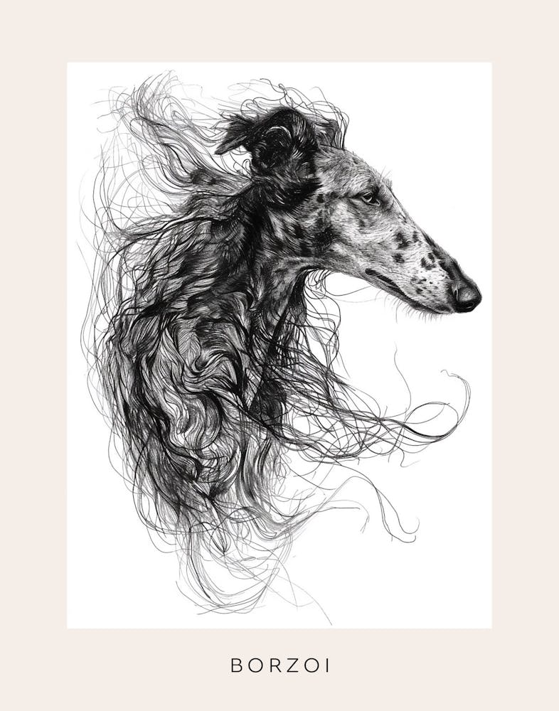 Borzoi Dog Line Sketch 2 Poster