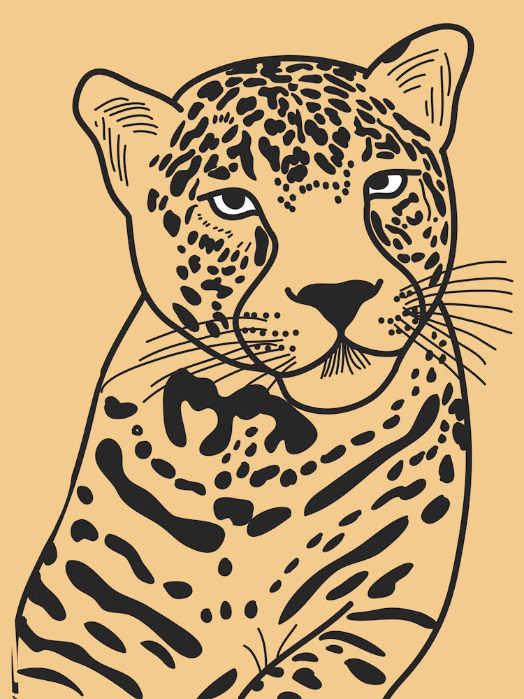 Leopard 3