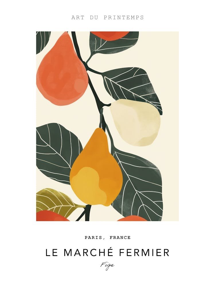 Figs Le Marche Fermier Poster 4