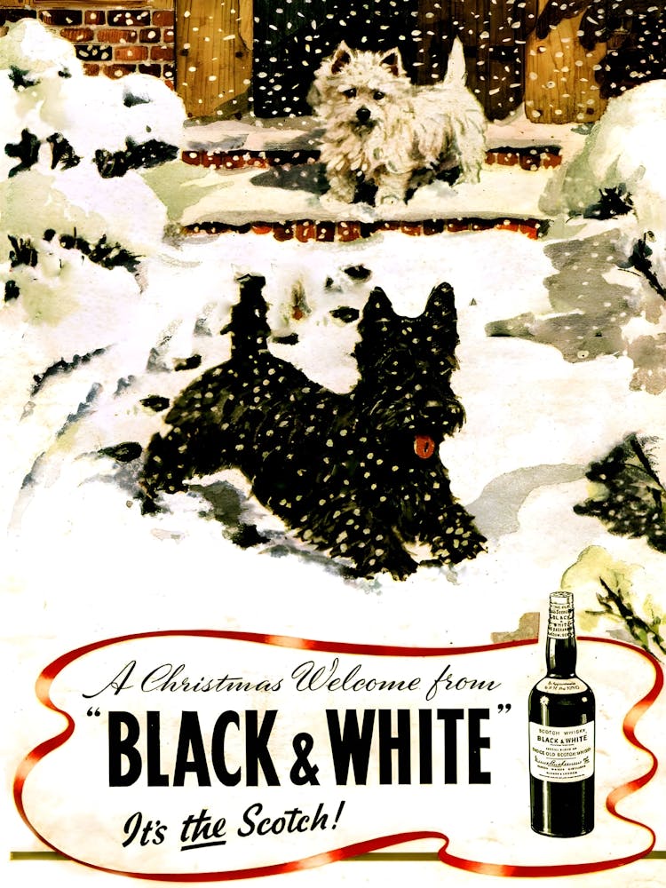 Christmas Welcome For Black And White, Whisky, Vintage Advertising Poster