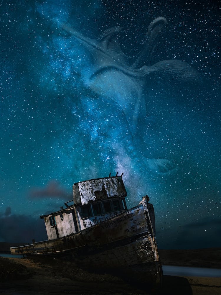 Shipwrecked Octopus Galaxy