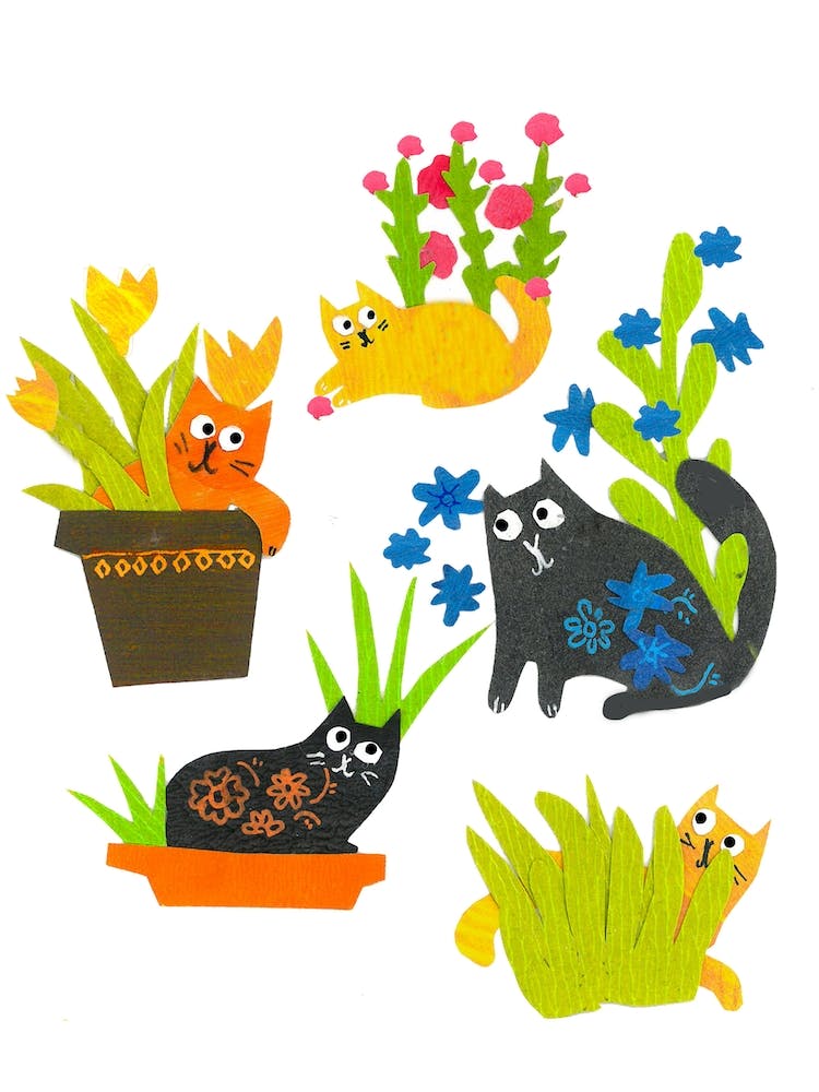 Gardencats
