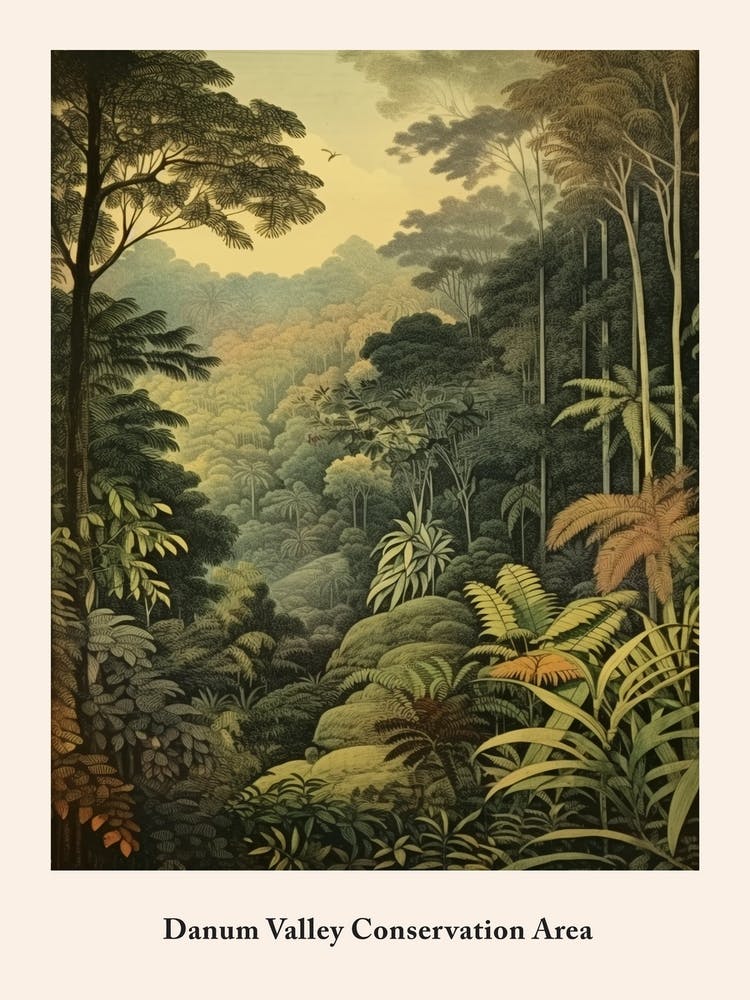 Danum Valley Conservation Area