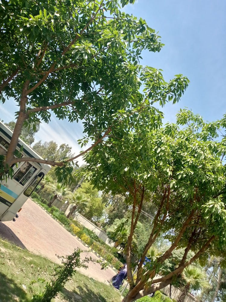 Img 20240401 121003 673