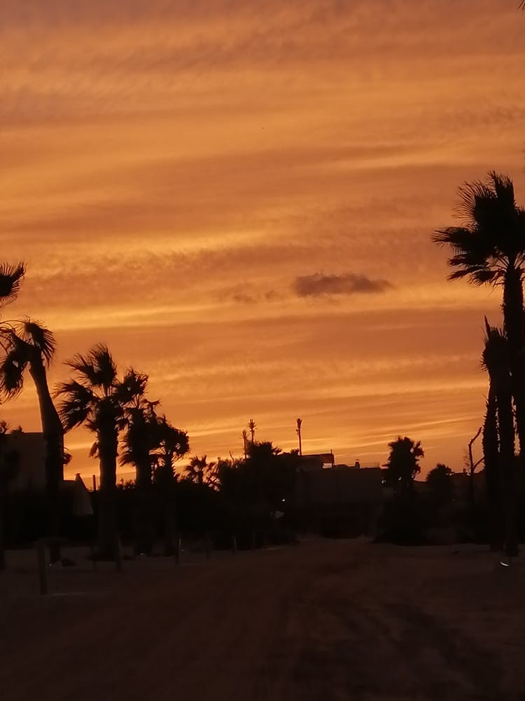 Sunset At The Beach