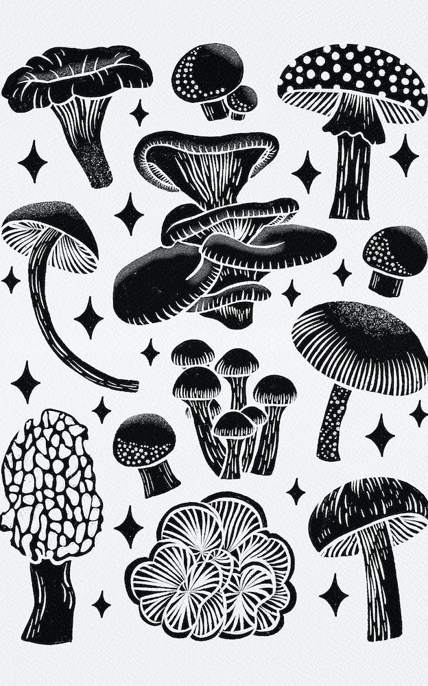 Texas Mushrooms   Black Silhouette