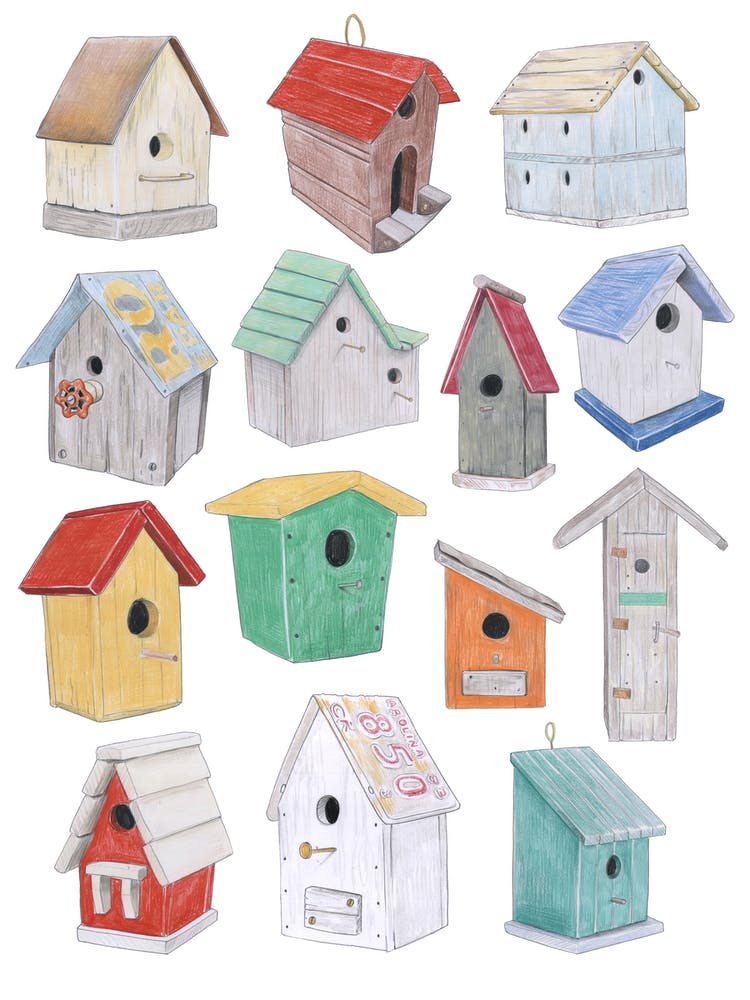 Bird Houses