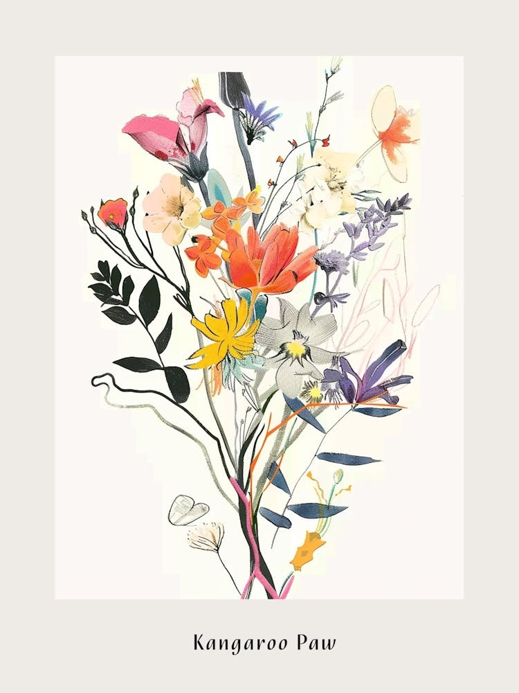 Kangaroo Paw 3 Collage Flower Bouquet Poster
