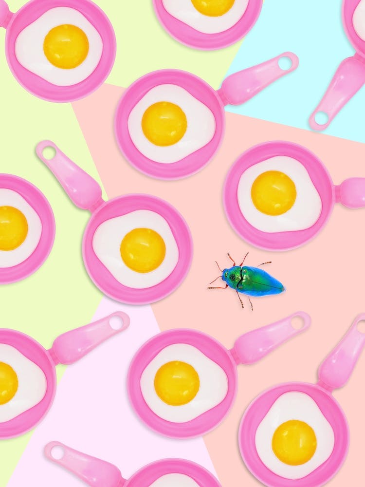 Cuckoo Watching His Eggs